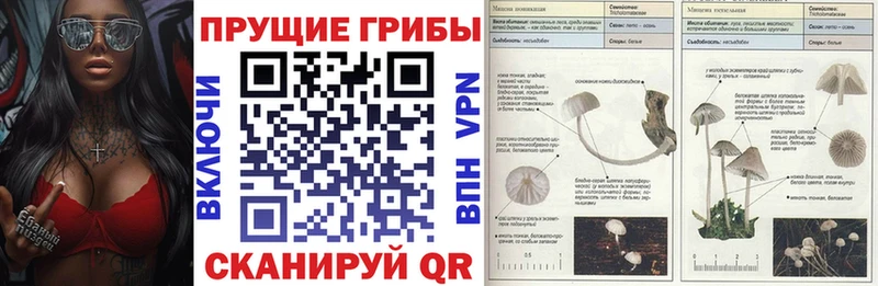 Галлюциногенные грибы прущие грибы Льгов